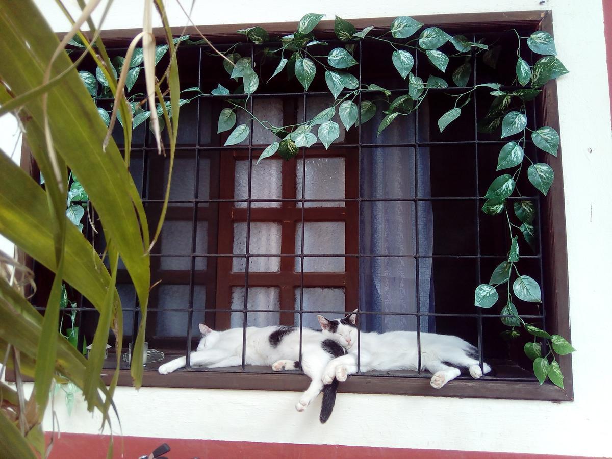 Casa Mazejuwi Hotel Campeche Luaran gambar